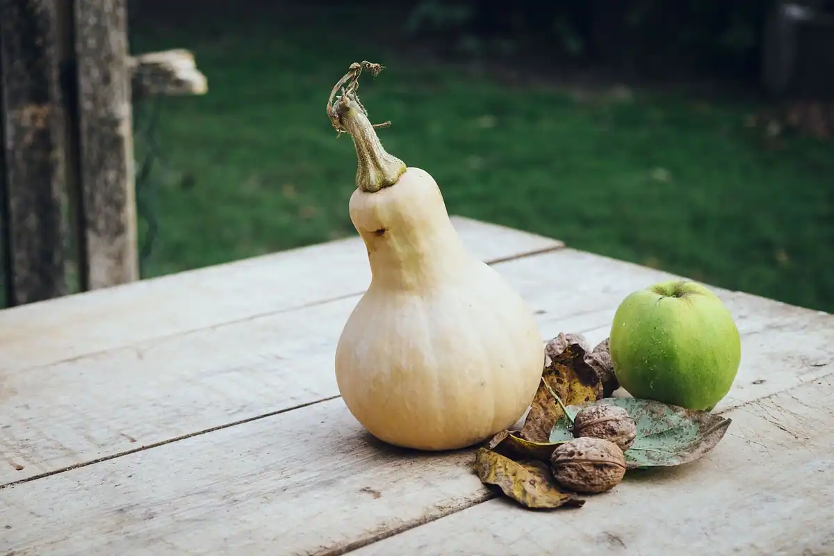 Dovleac alb și măr verde pe o masă de lemn în grădină, produse de toamnă