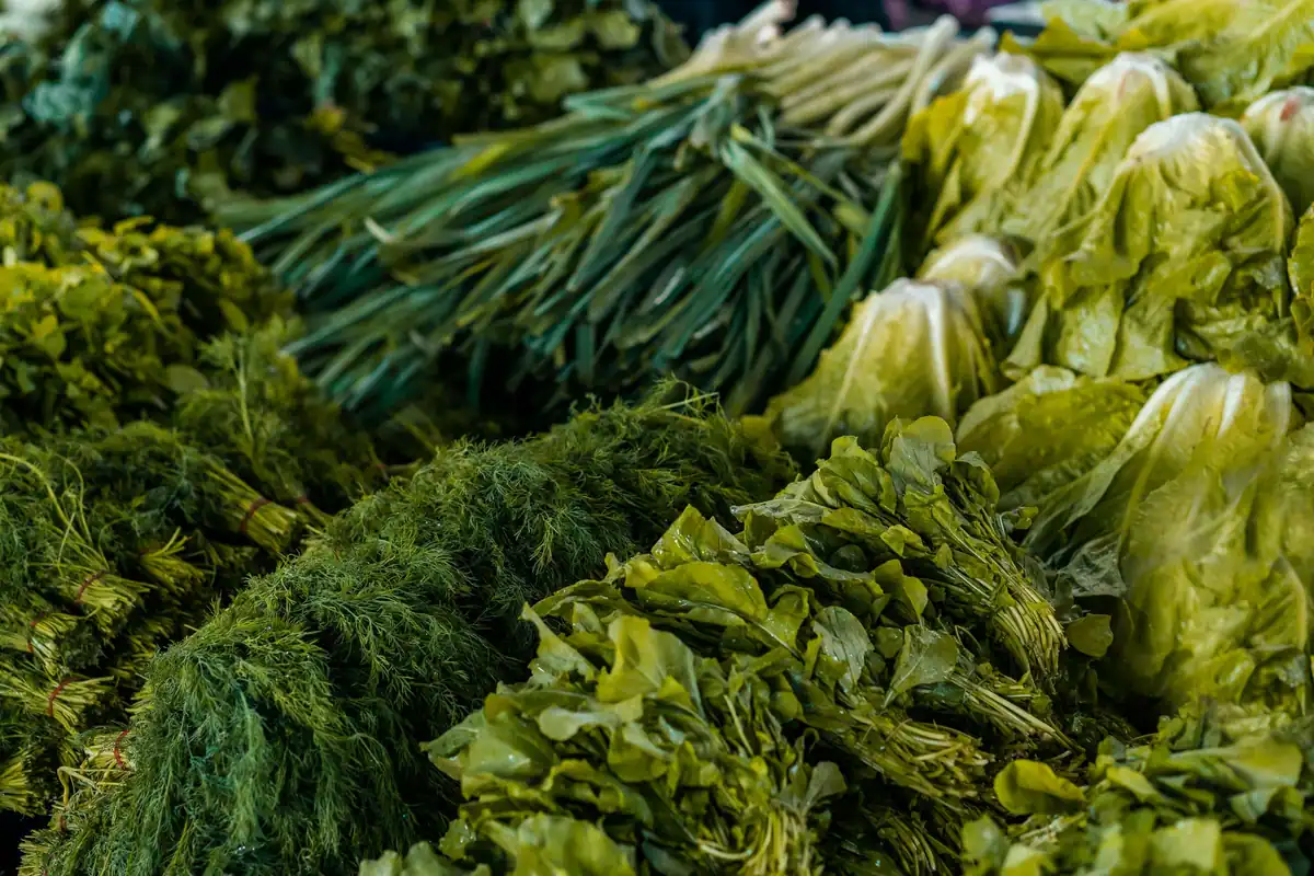 Mănunchiuri de mărar, pătrunjel și ceapă verde pe o tarabă, verdețuri pentru rețete de acasă
