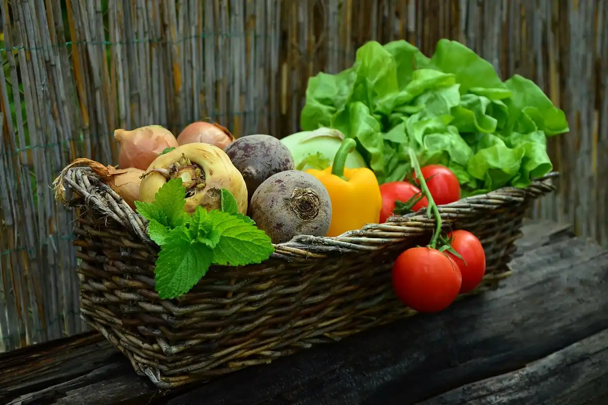 Coș de nuiele cu salată verde, sfeclă, ardei și roșii, legume pentru salate de sezon
